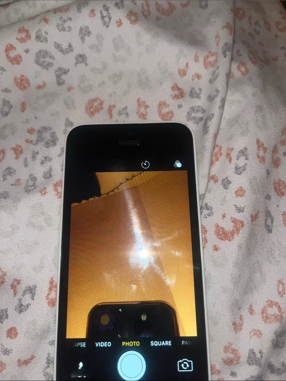 Apple iPhone 5c in Black with White Display